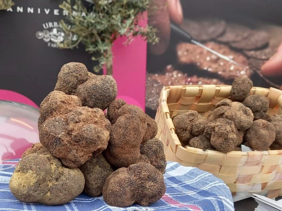 Umbrian Black Truffle & Handmade Pasta Masterclass with Wine Pairings