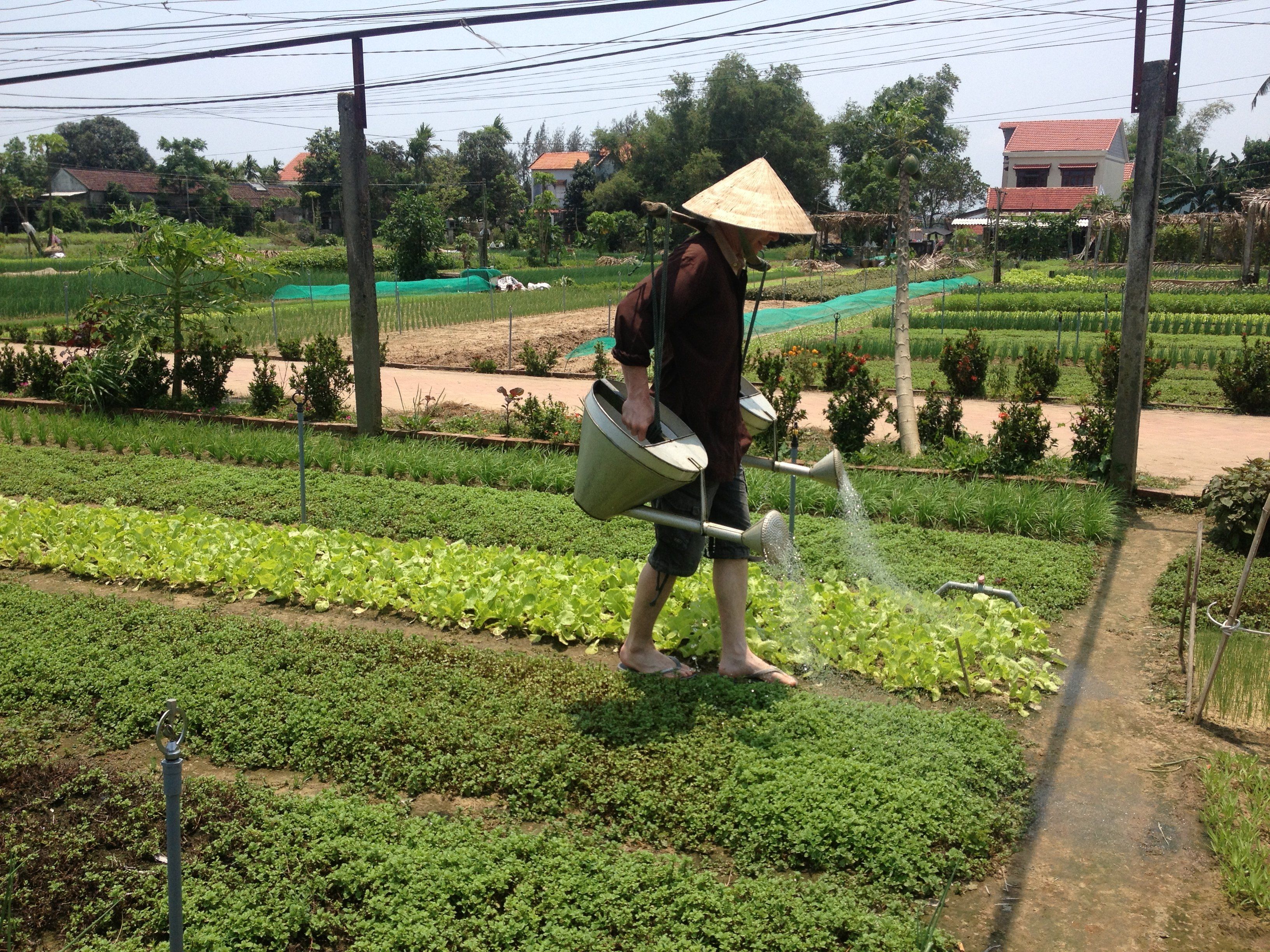 Cooking Lesson with Farming, Cycling, Lantern Making and Basket Boat