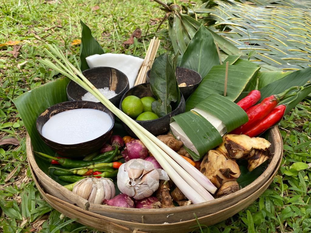 Cook with Fresh Picks from Organic Farm and visit Ubud's Market