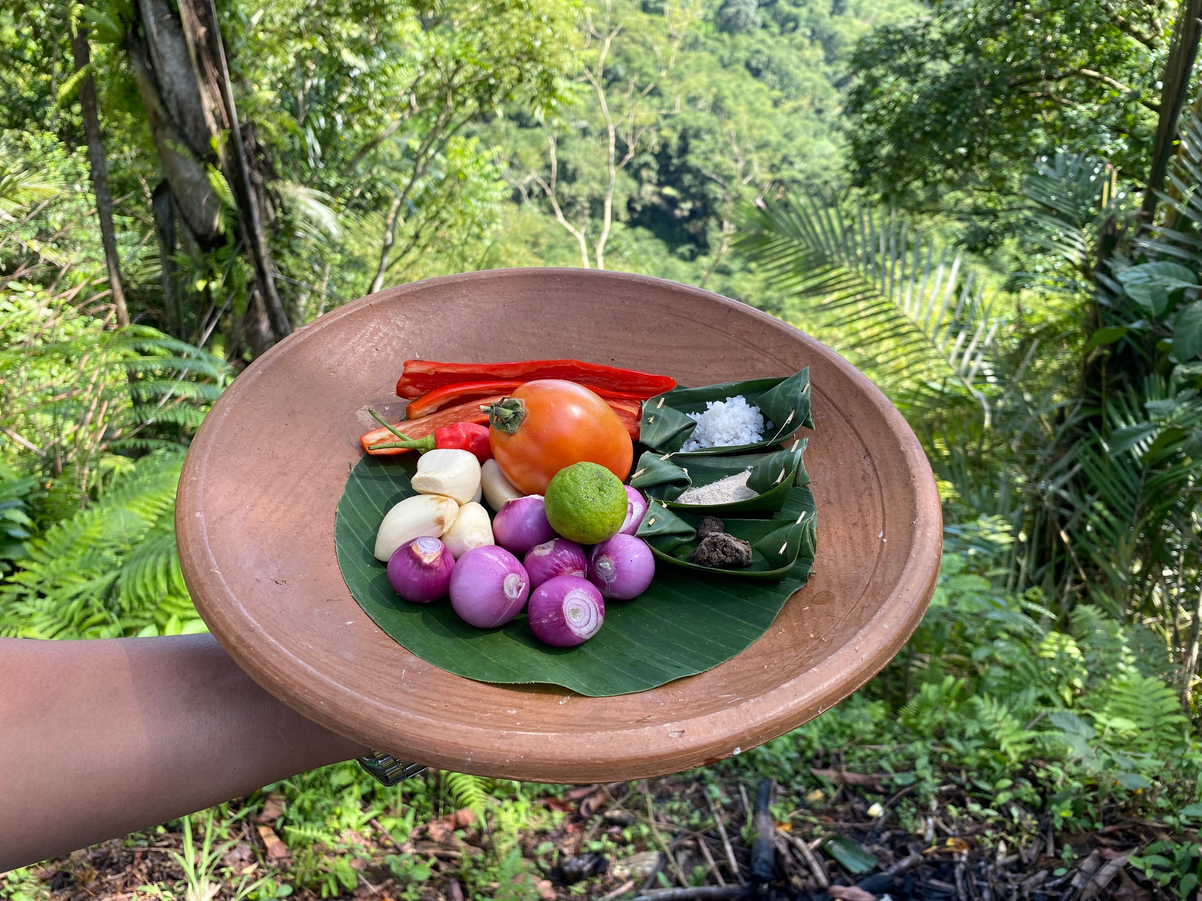 Cook with Fresh Picks from Organic Farm and visit Ubud's Market