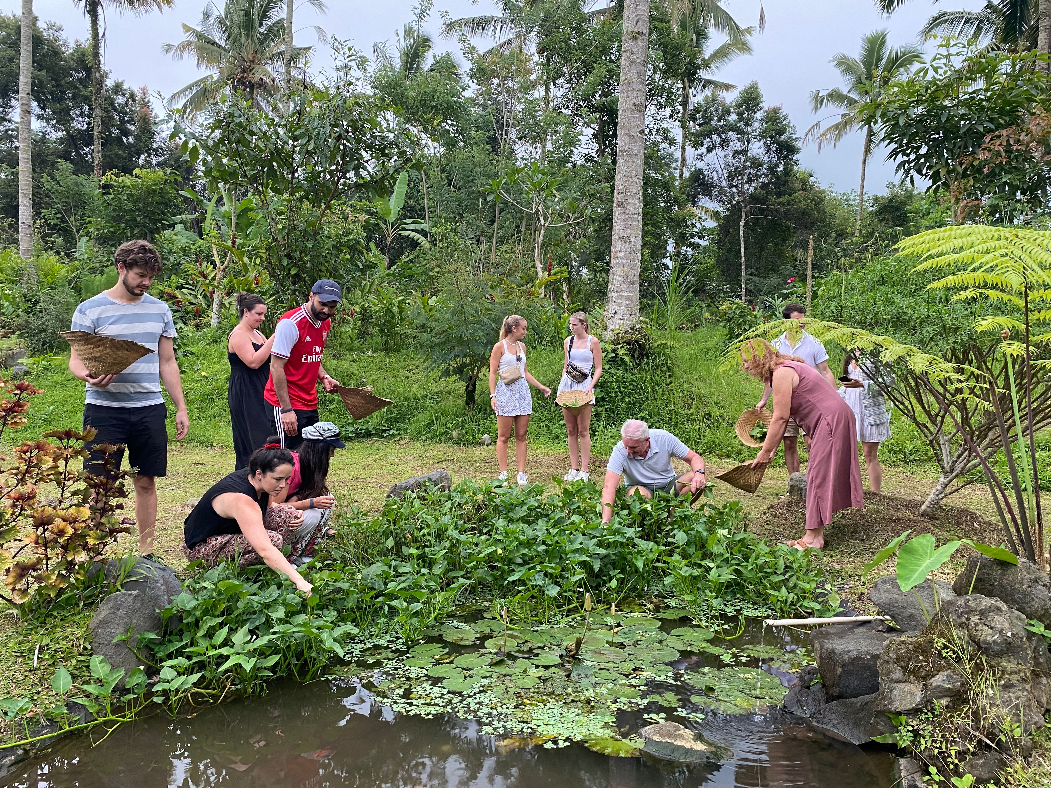 Cook with Fresh Picks from Organic Farm and visit Ubud's Market