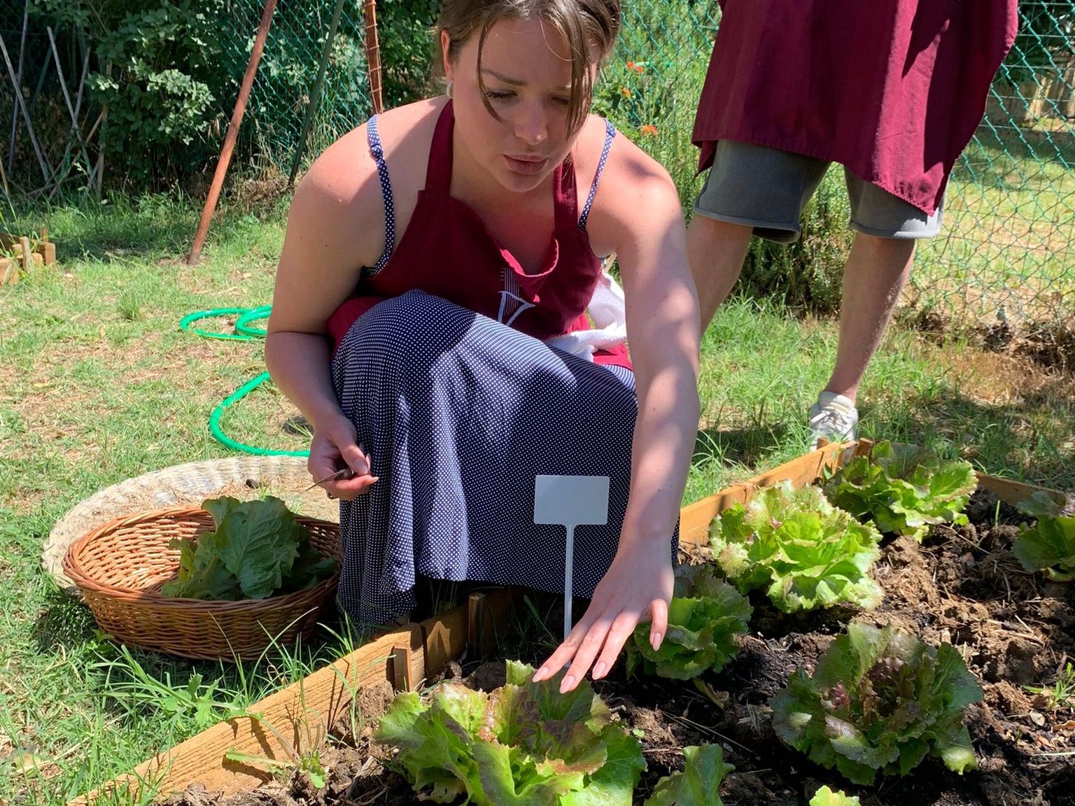 Culinary Experience with Dinner and Live Opera in the Countryside