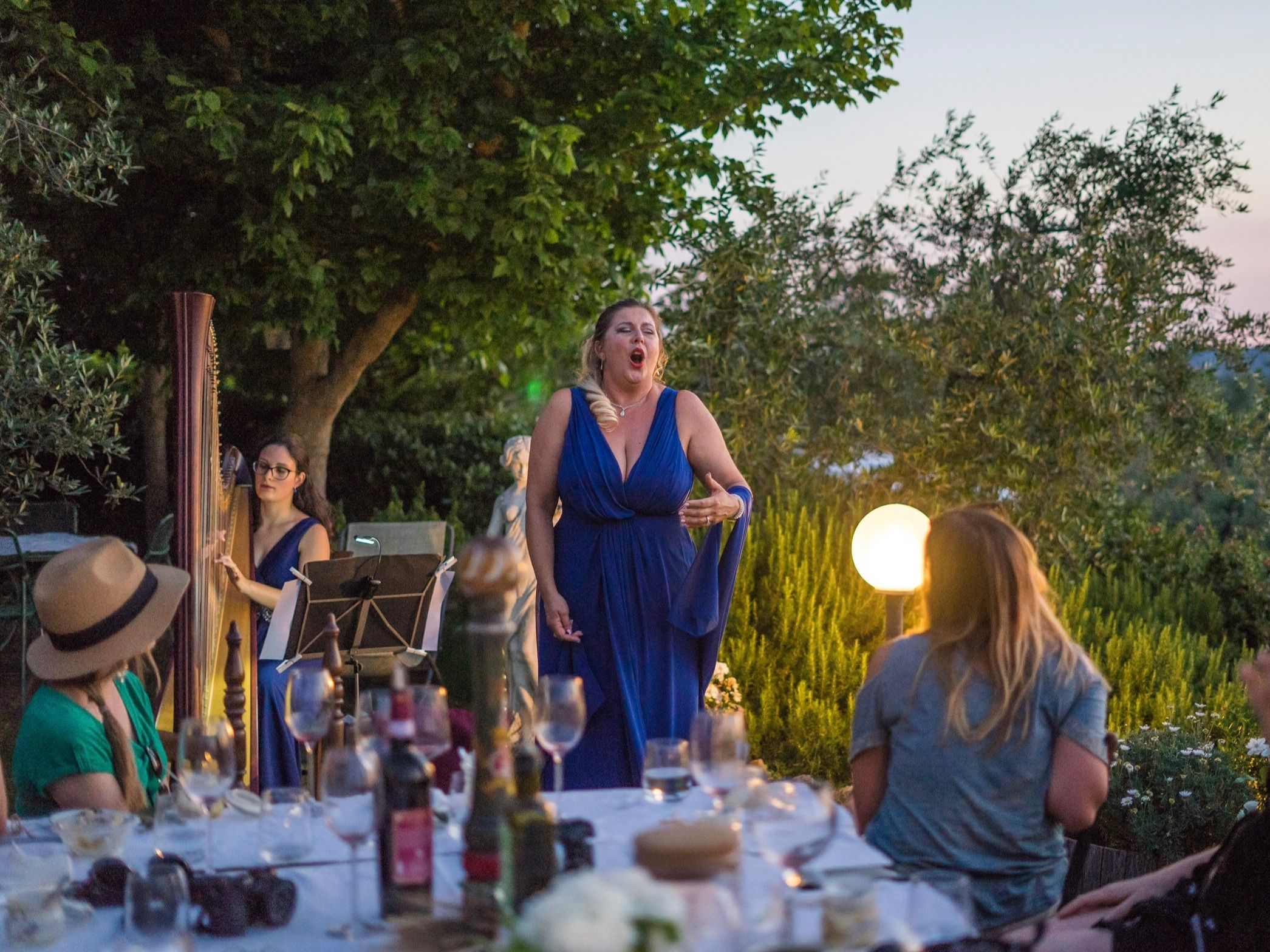 Culinary Experience with Dinner and Live Opera in the Countryside
