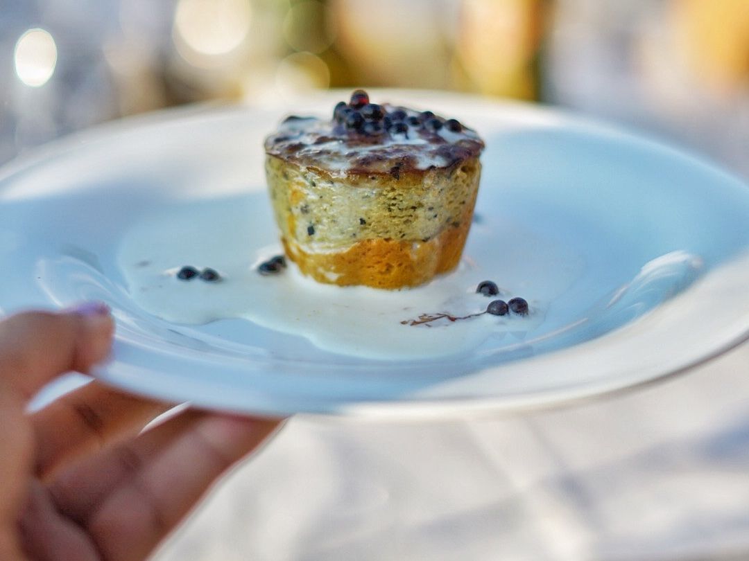 Culinary Experience with Dinner and Live Opera in the Countryside