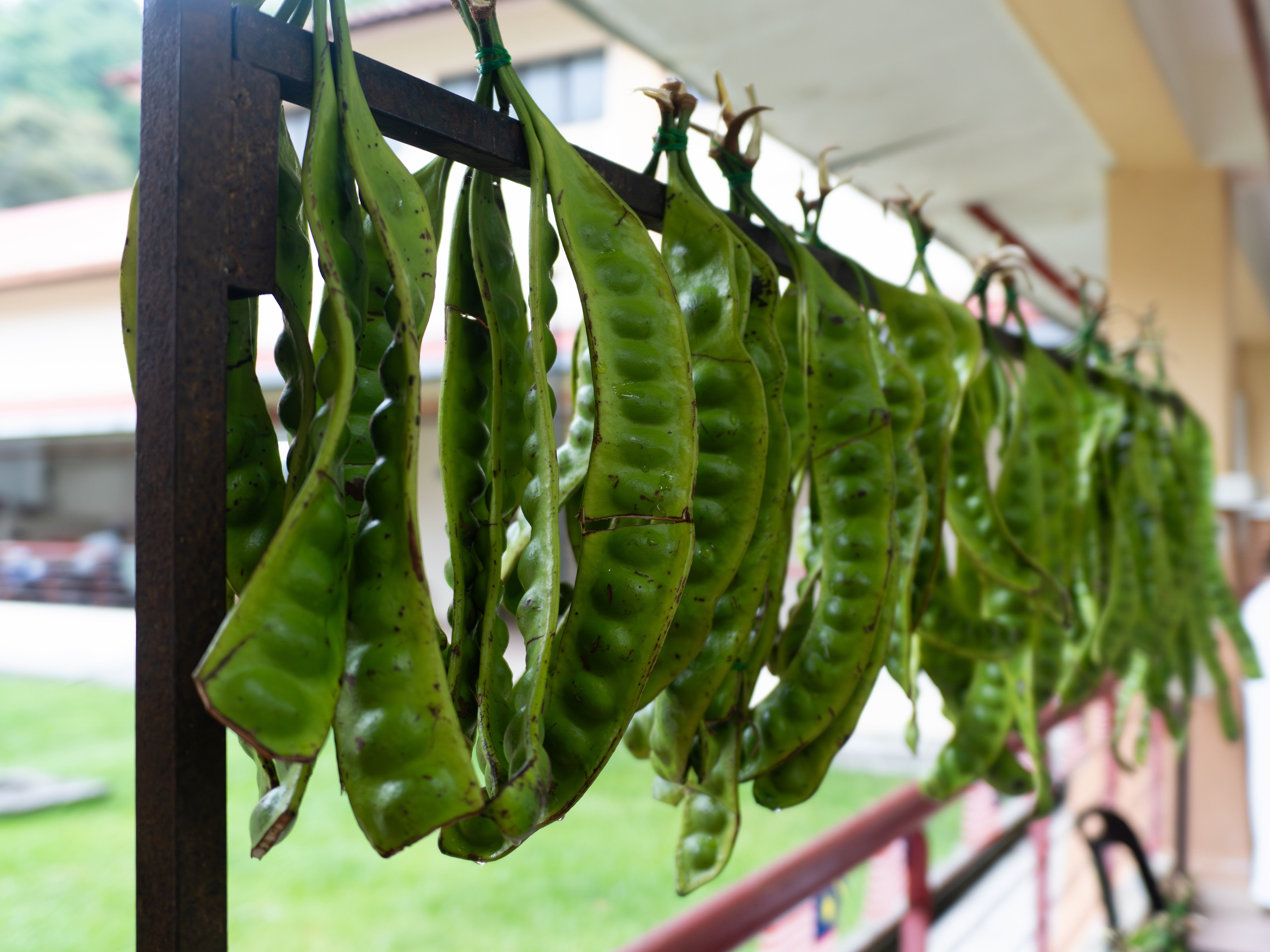 Ervaar de culinaire wereld van Penang in een charmant lokaal huis.