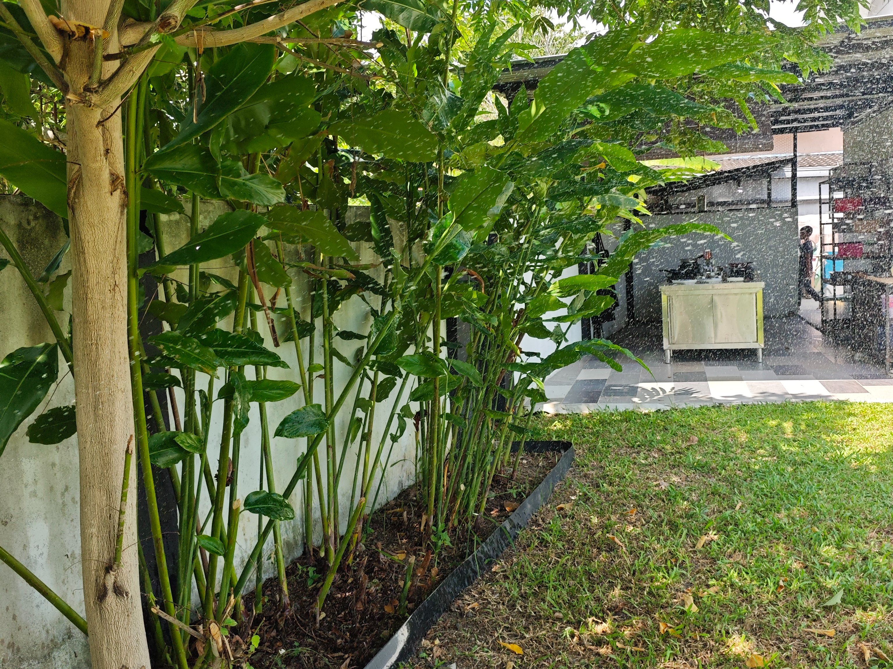 Ervaar de culinaire wereld van Penang in een charmant lokaal huis.