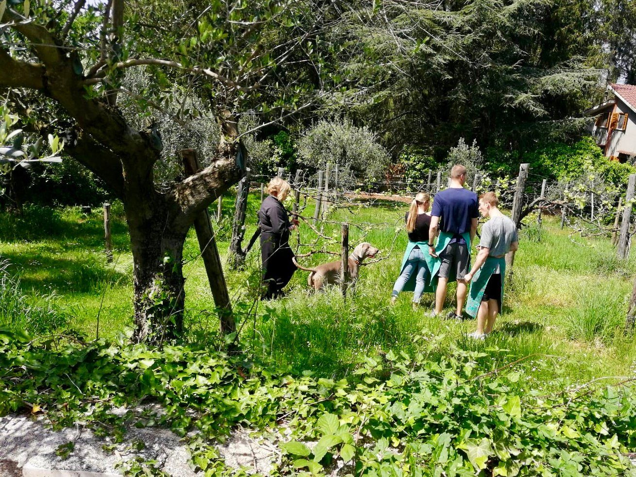 Cooking With Wild Herbs In The Countryside of Rome