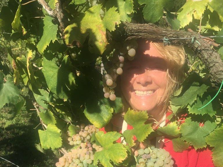 Cooking With Wild Herbs In The Countryside of Rome