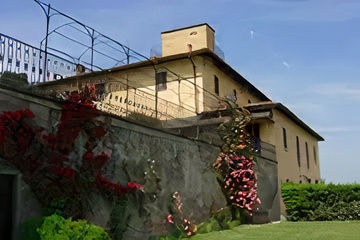 Cours de cuisine dans une villa toscane avec dégustation de vins et d'huile d'olive dans un domaine viticole ...