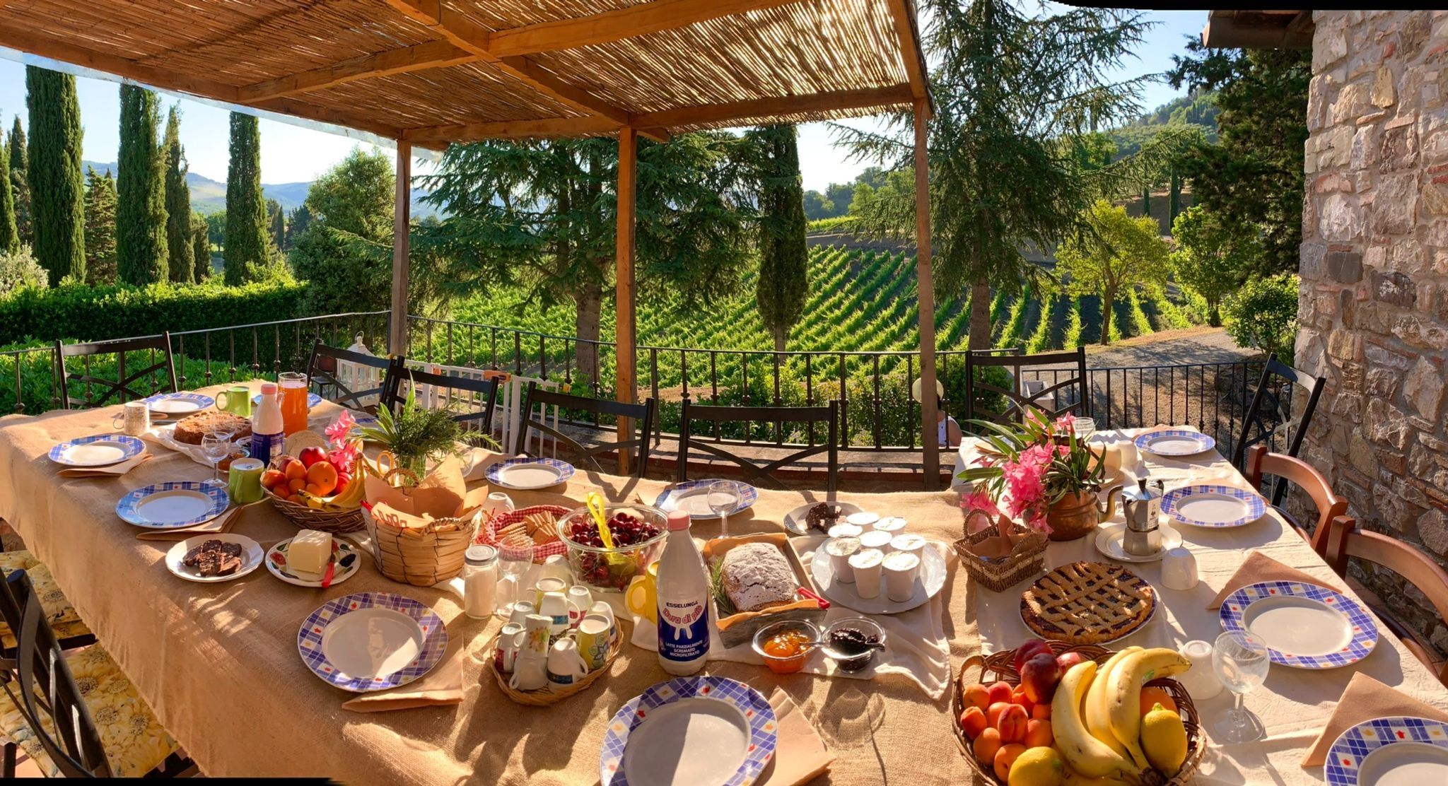 Culinary Experience with Dinner and Live Opera in the Countryside