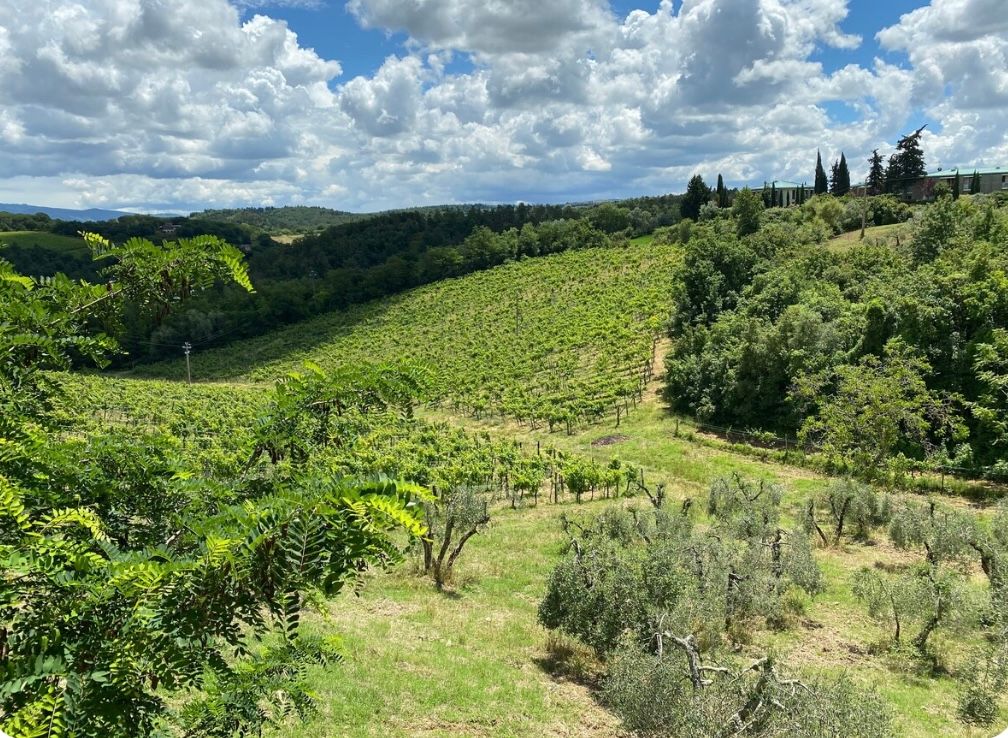 Culinary Experience with Dinner and Live Opera in the Countryside