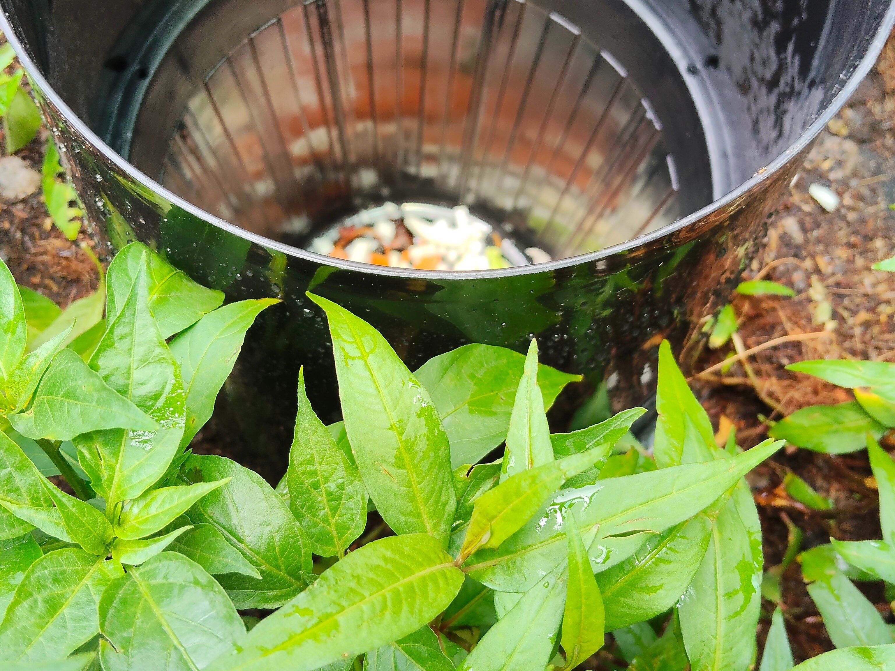 Discover Authentic Thai Flavors: A Rooftop Cooking Adventure in Bangkok