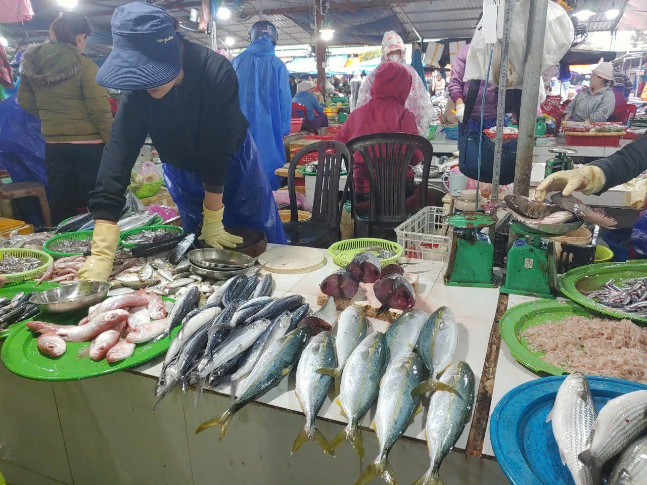 Experience Authentic Vietnamese Cuisine & Local Life in Hoi An