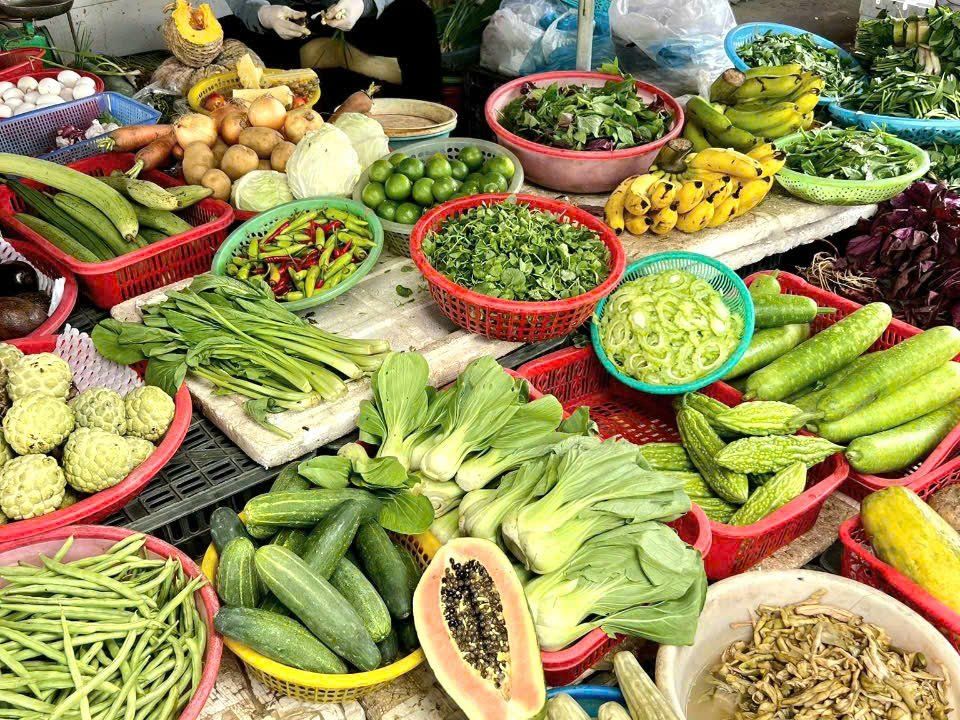 Experience Authentic Vietnamese Cuisine & Local Life in Hoi An