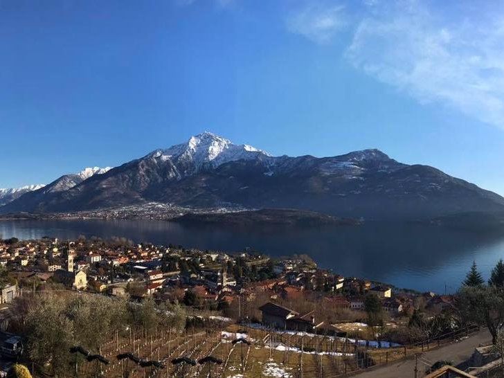 Wine Tour and Tasting Experience at Como Lake Winery in Domaso