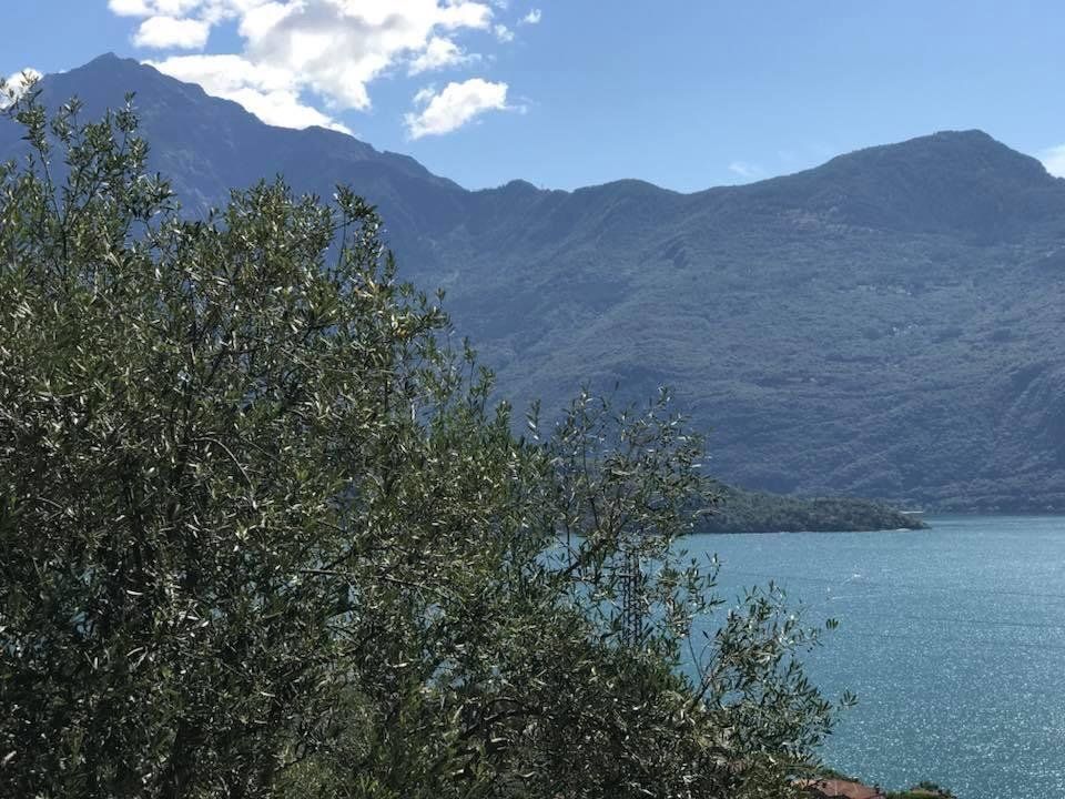 Wine Tour and Tasting Experience at Como Lake Winery in Domaso