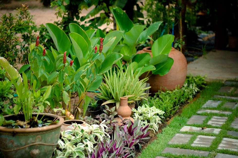 Authentic Thai Cooking in a Garden with Easy and Simple Recipe