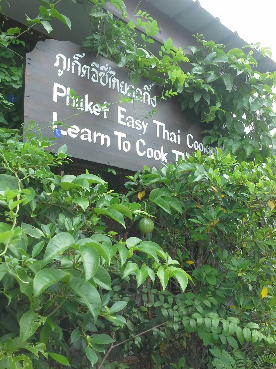 Half Day Easy Thai Cooking Class & Market Tour
