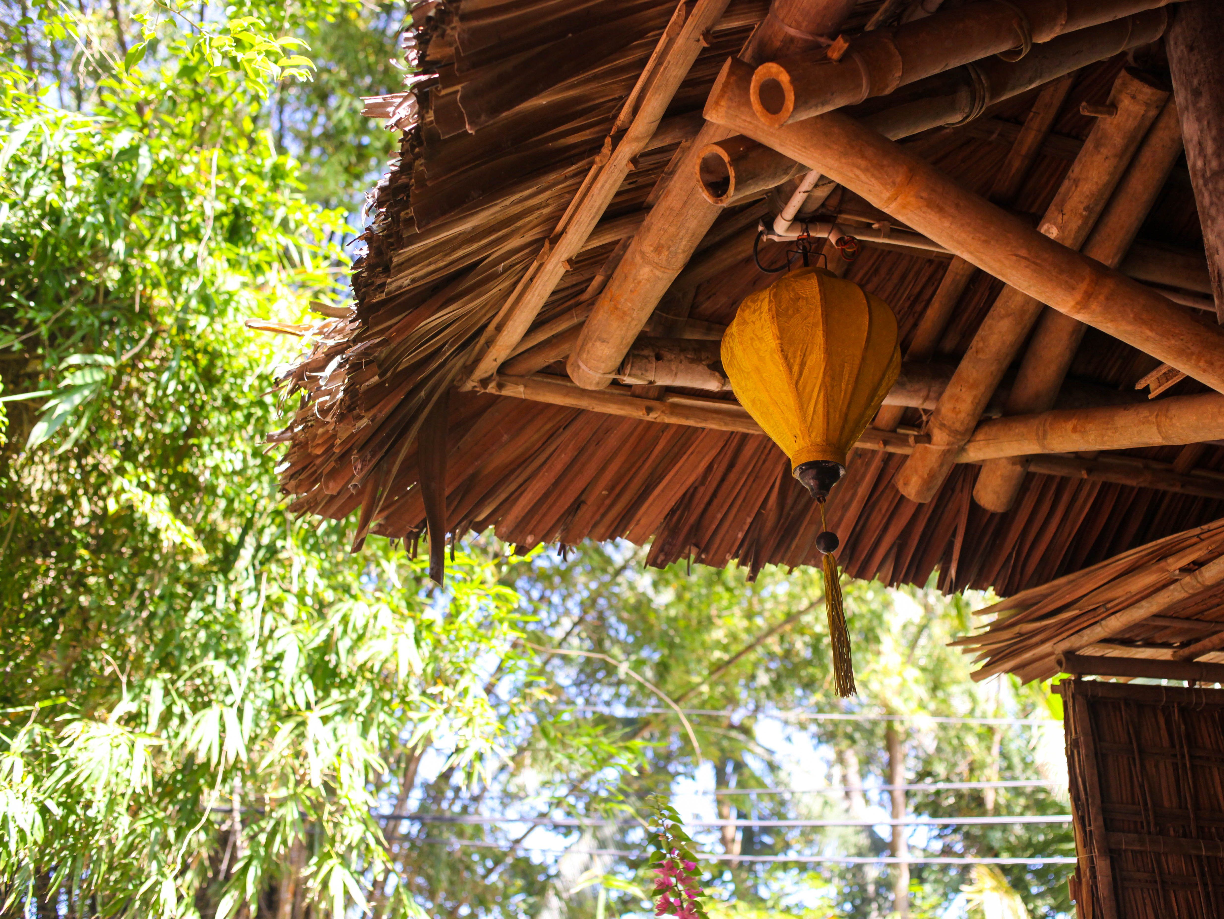 Vietnamese Cooking Class with Market Tour & Farming Experience