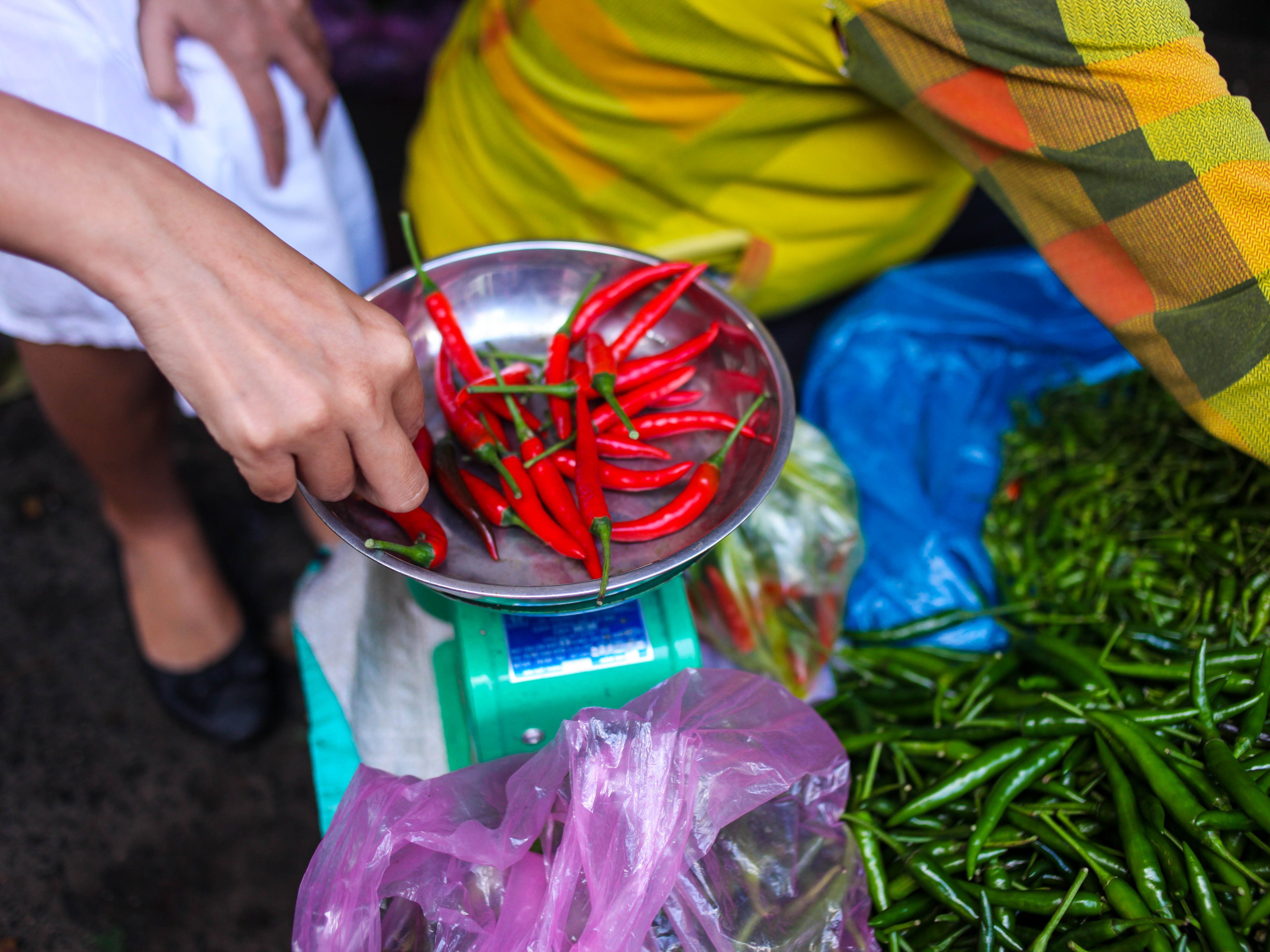 Vietnamese Cooking Class with Market Tour & Farming Experience