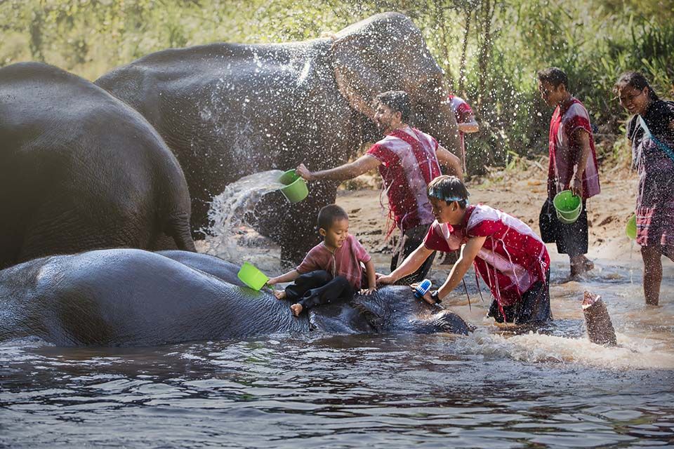 Adventurous, Delicious, Ecological & Cultural: The Full Karen Eco Lodge Experience (3 Days 2 Nights)