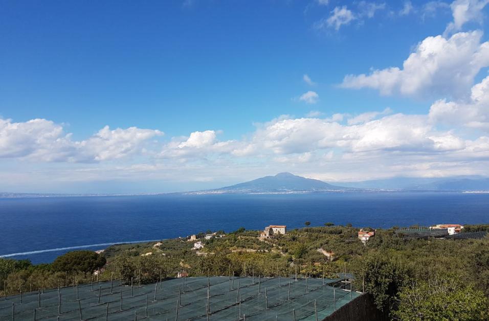 Southern Italian Cooking at Villa del Barone on the Sorrento Coast