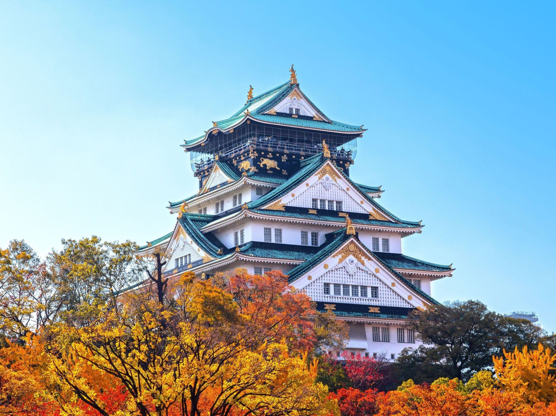 Experience Matcha & Tea Culture in the Heart of Osaka