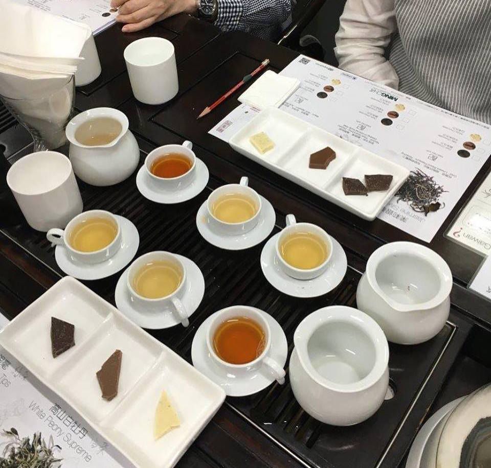 Experience The Art of Tea Tasting
