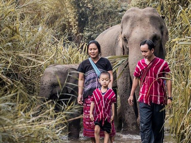 Exploring the Karen Culture with Cooking, Elephant Caring and More (2 Days 1 Night)