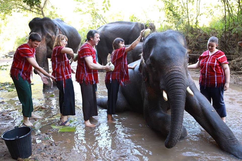 Exploring the Karen Culture with Cooking, Elephant Caring and More (2 Days 1 Night)