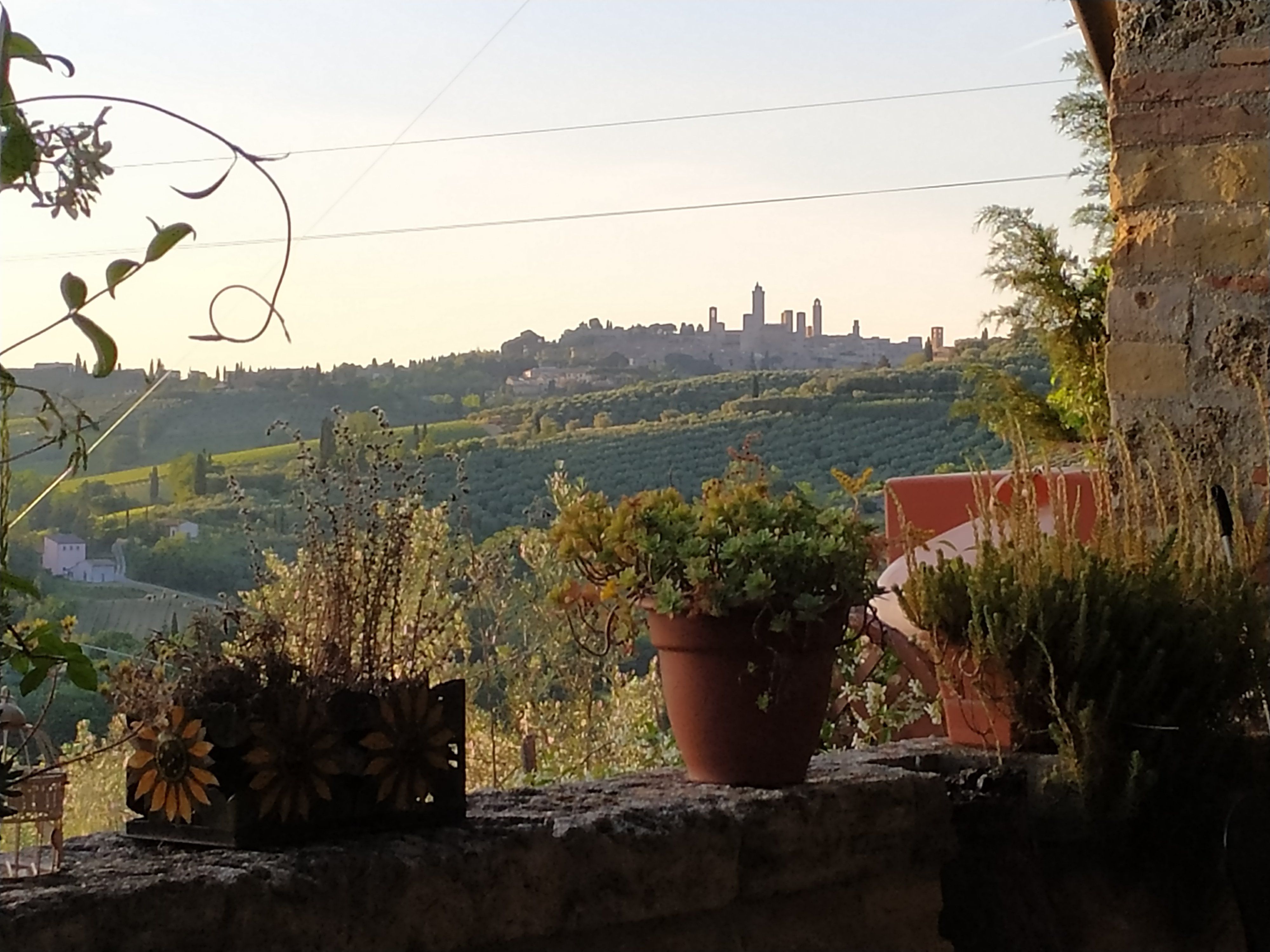3-Course Cooking Class in Beautiful Tuscan Countryside by Chef and Sommelier