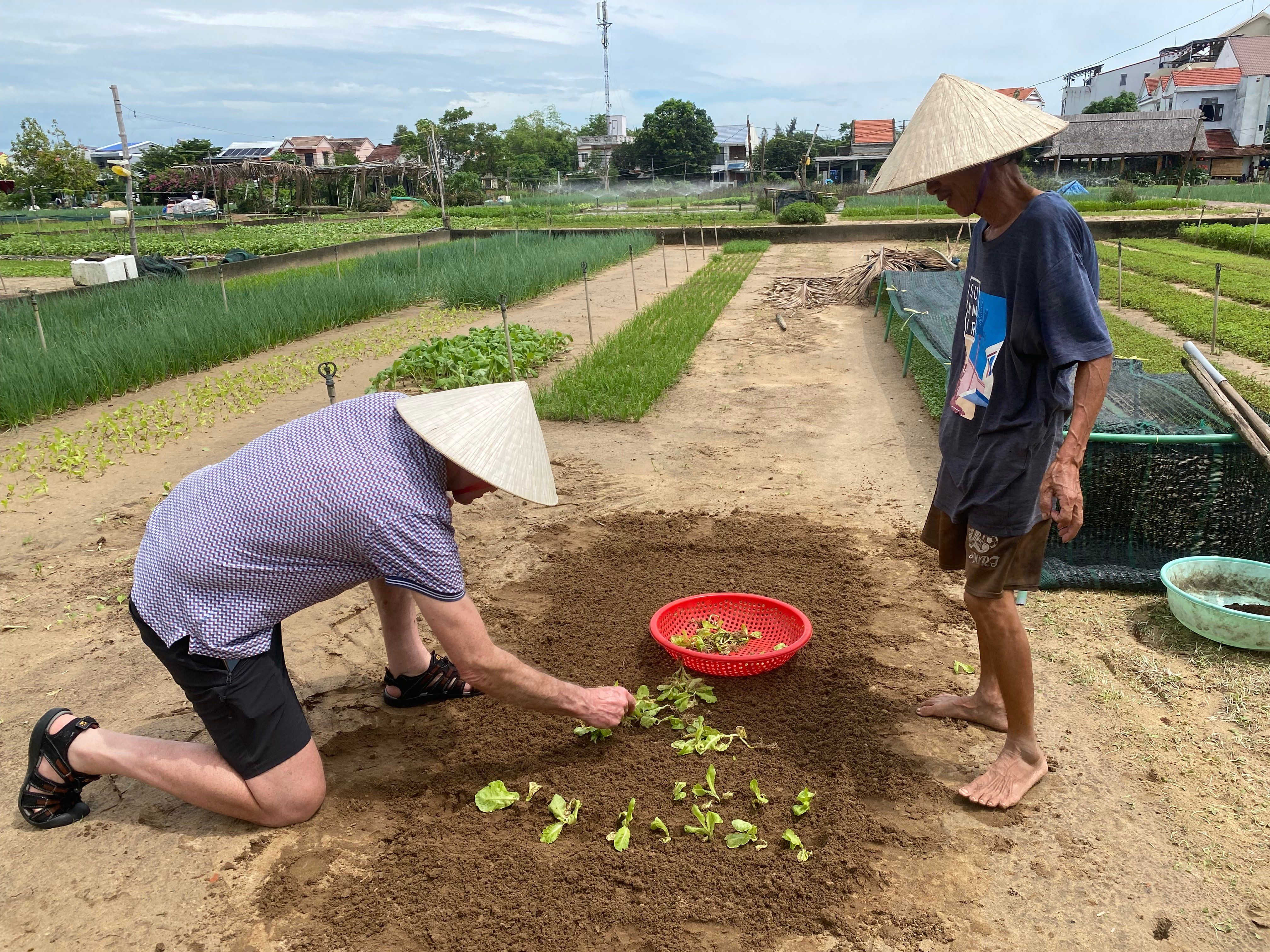 Family-Run Vietnamese Cooking Experience in Tra Que Village
