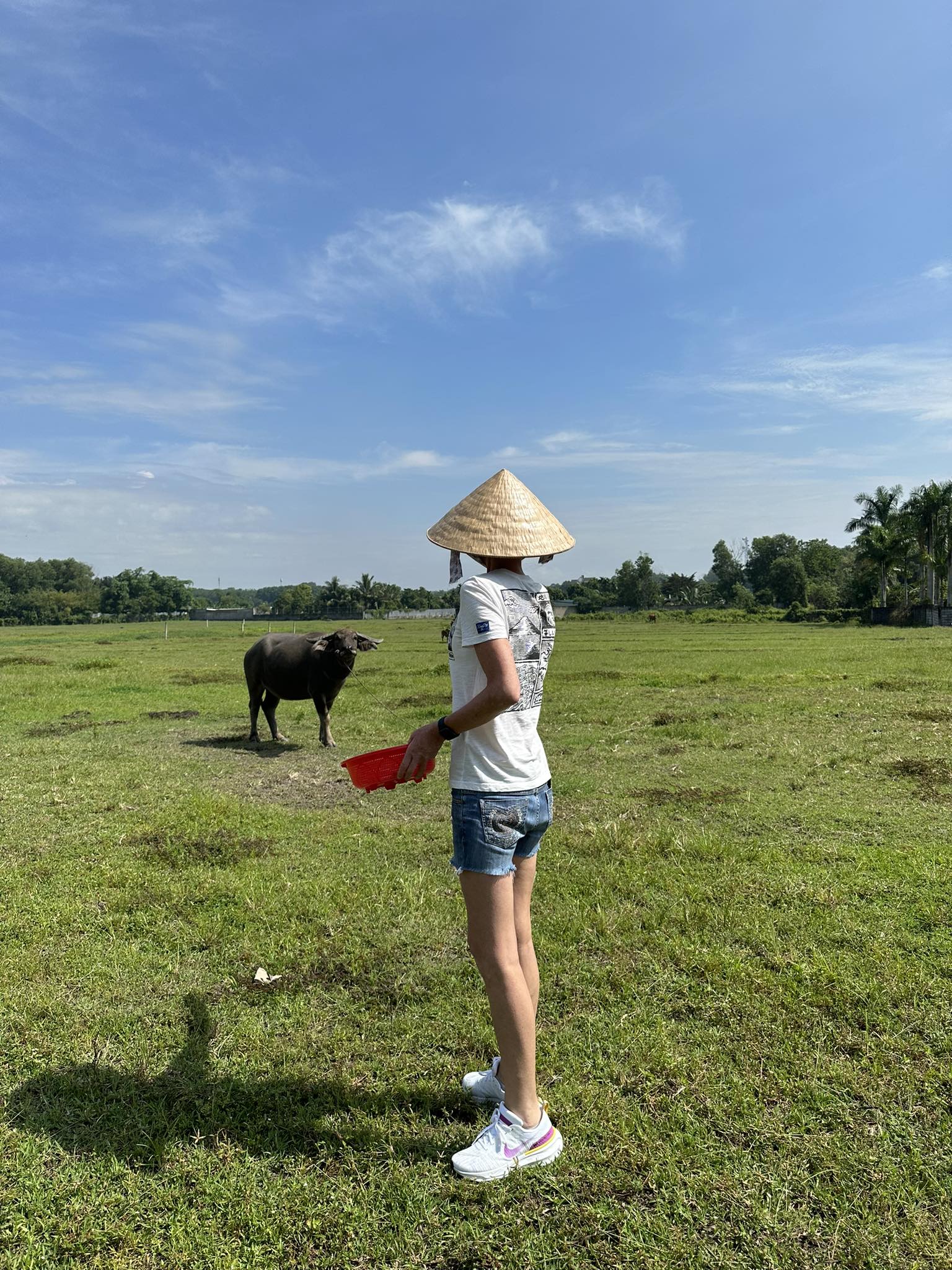 Farm to Table Cooking Class in Organic Farm