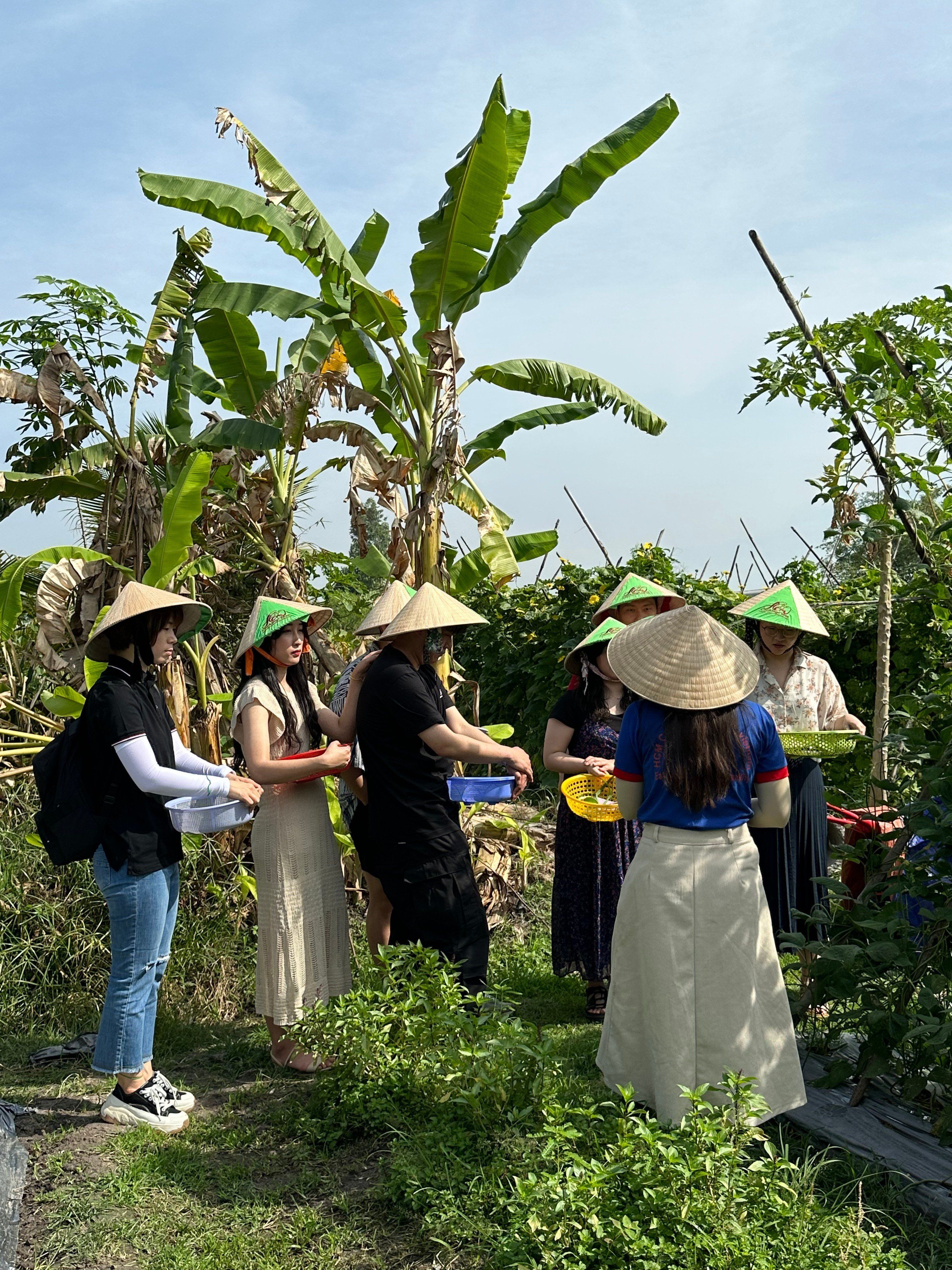 Farm to Table Cooking Class in Organic Farm