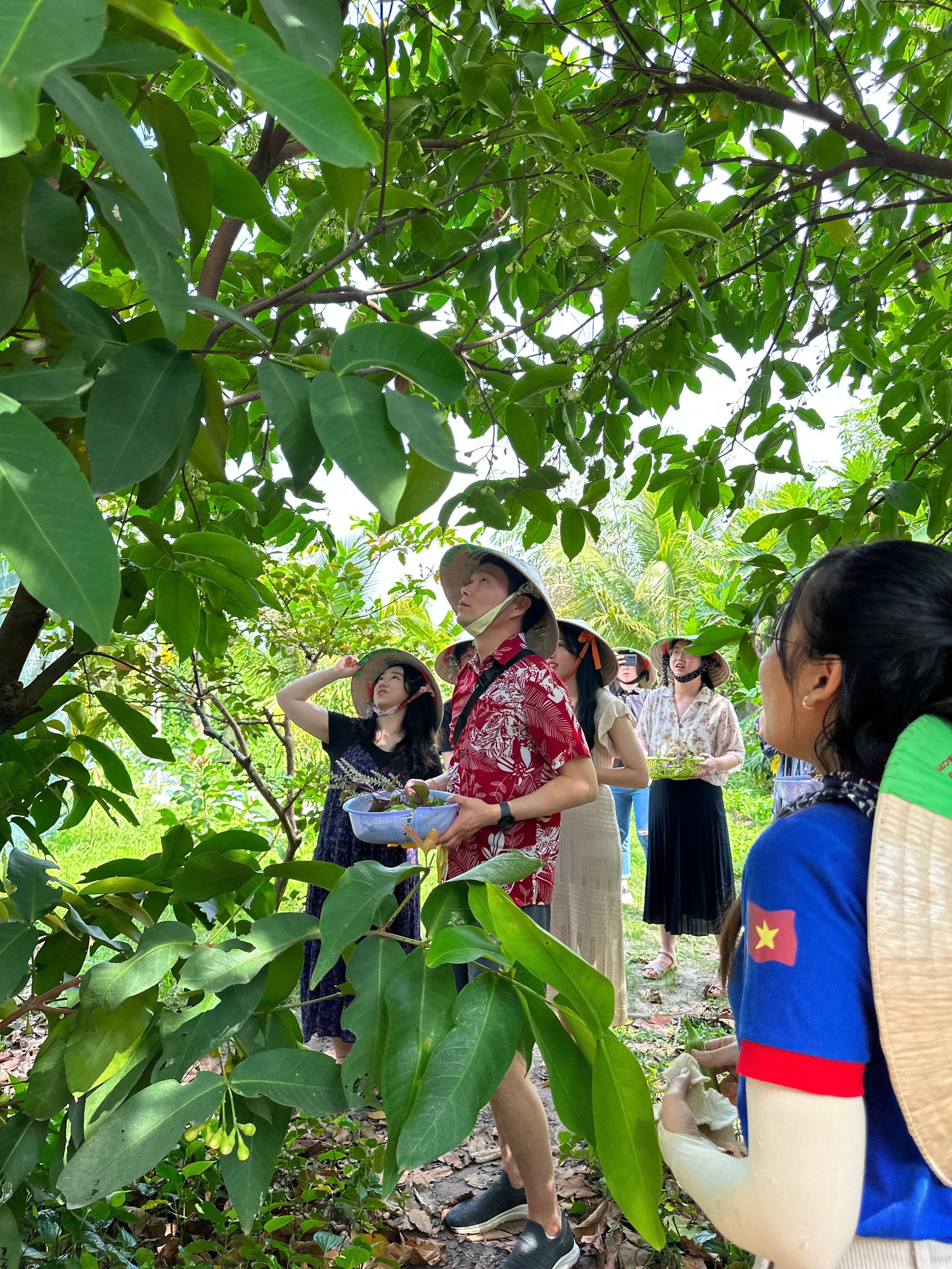 Farm to Table Cooking Class in Organic Farm
