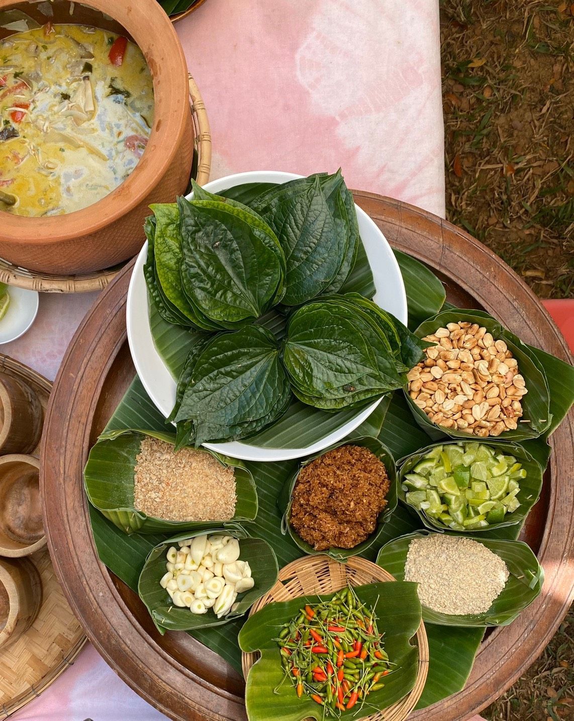 Farm to Table: Cooking at Organic Farm in Chiang Mai Forest