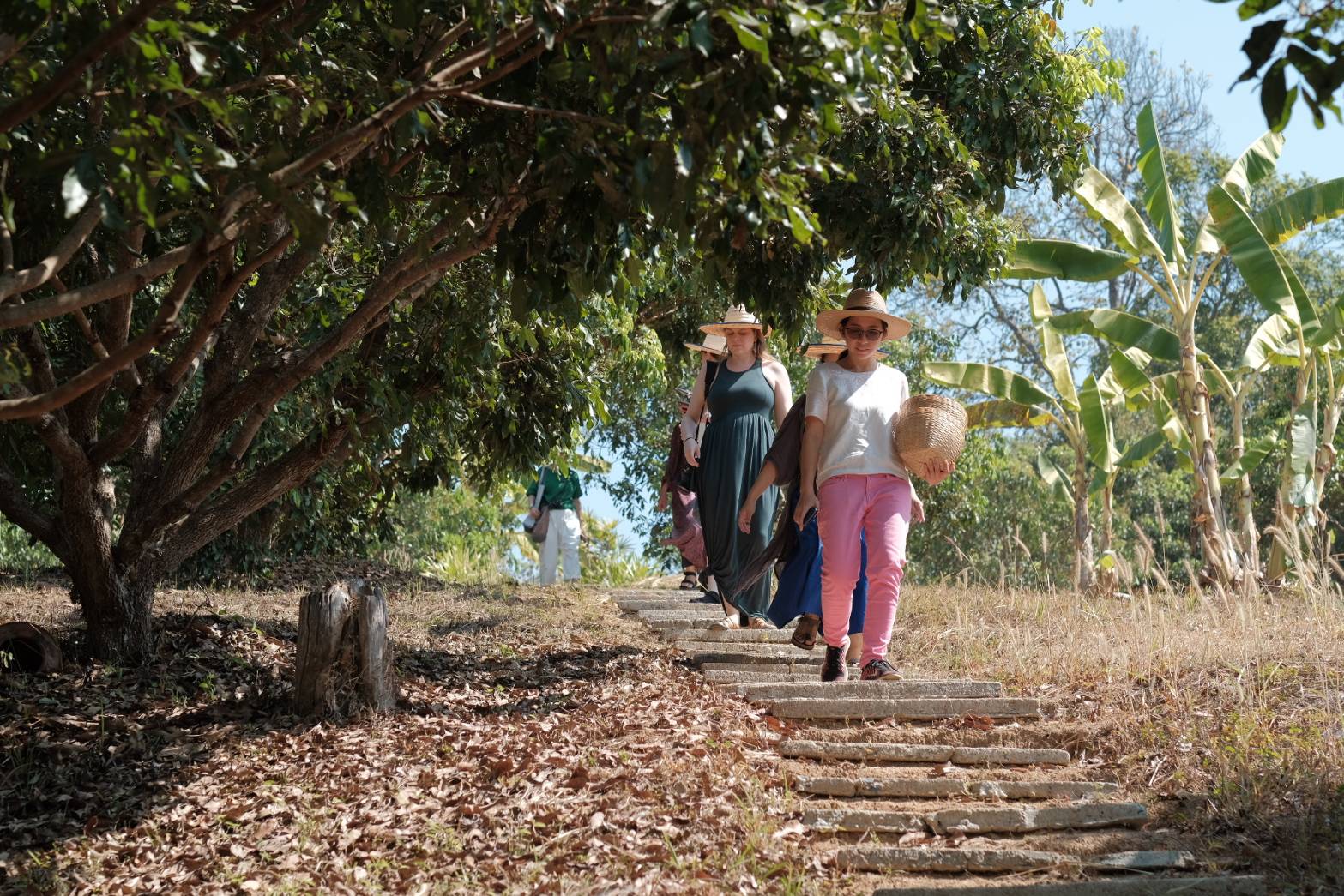 Farm to Table: Cooking at Organic Farm in Chiang Mai Forest