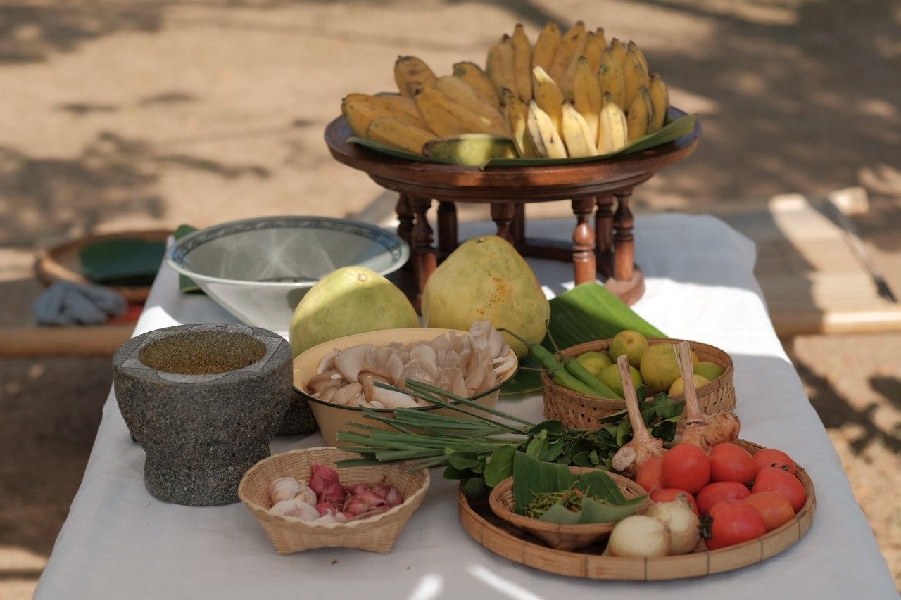 Farm to Table: Cooking at Organic Farm in Chiang Mai Forest