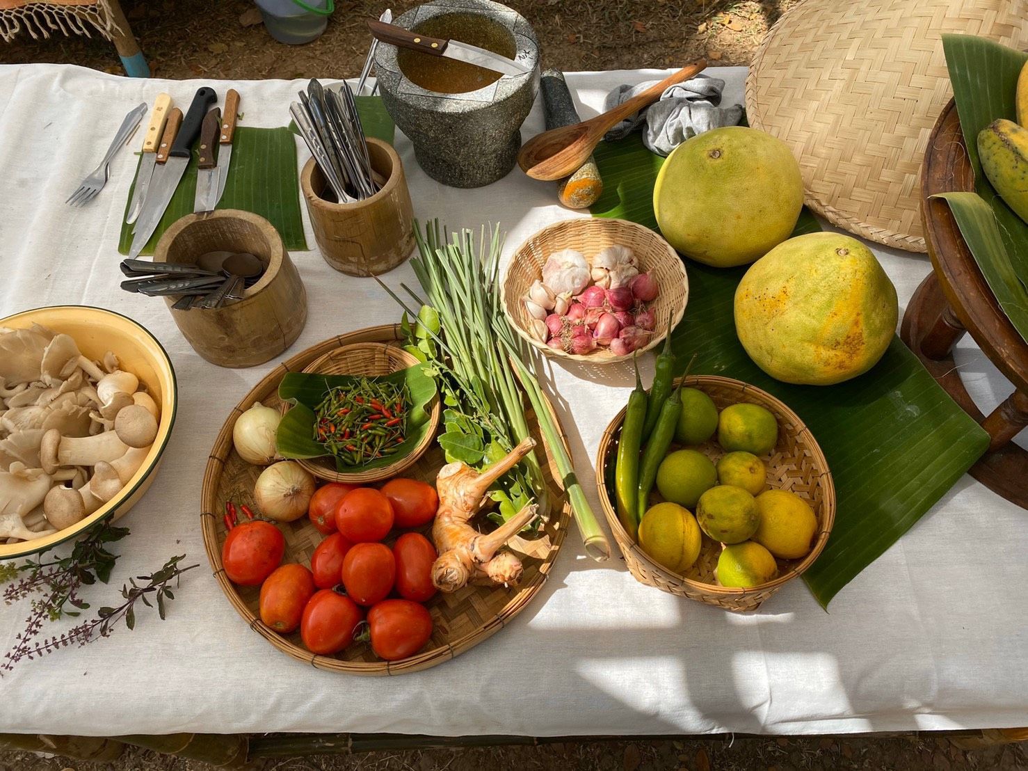 Farm to Table: Cooking at Organic Farm in Chiang Mai Forest