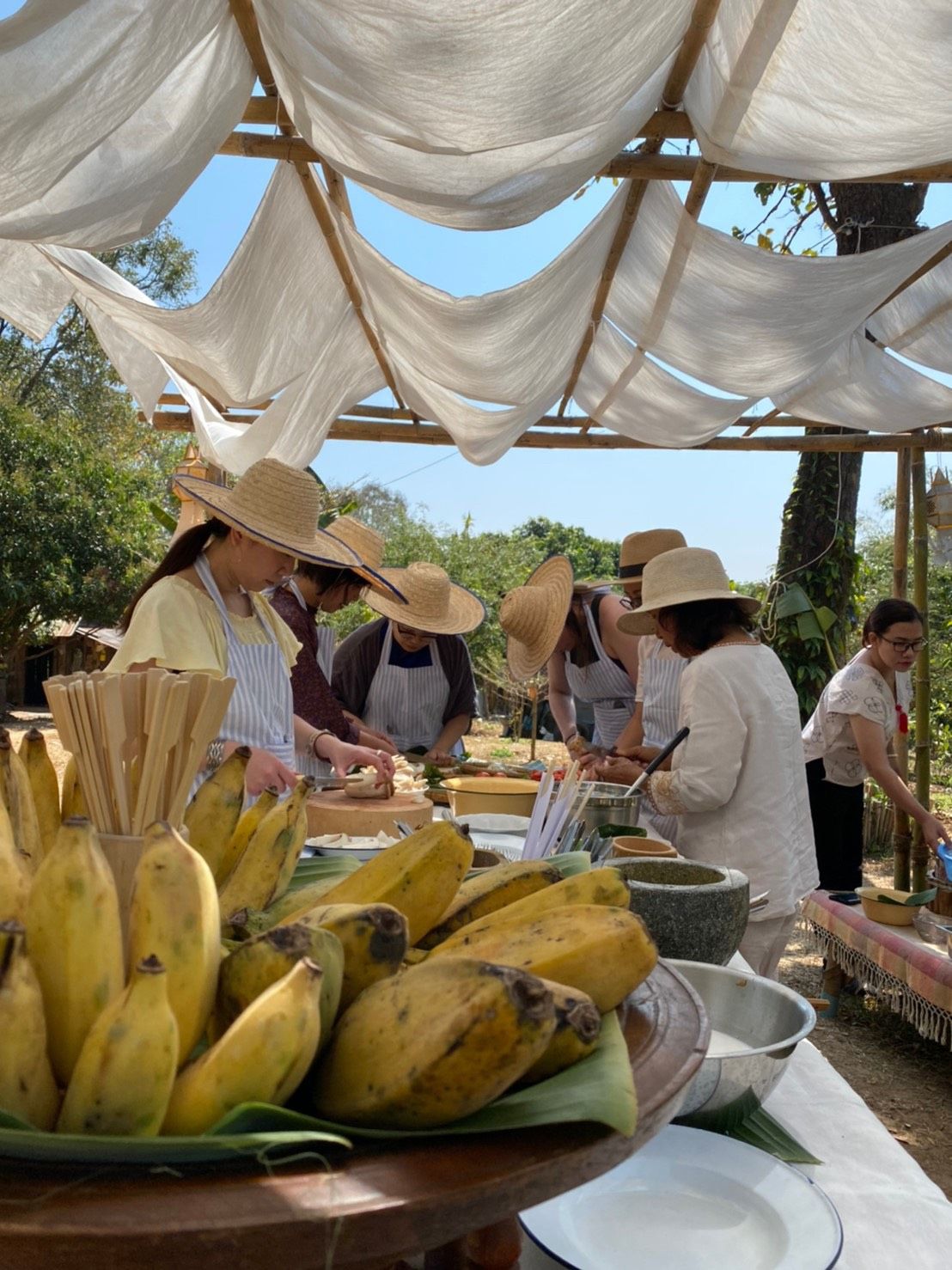 Farm to Table: Cooking at Organic Farm in Chiang Mai Forest