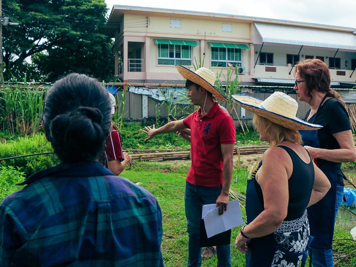 Half-day Organic Farm Cooking Experience in Chiang Mai