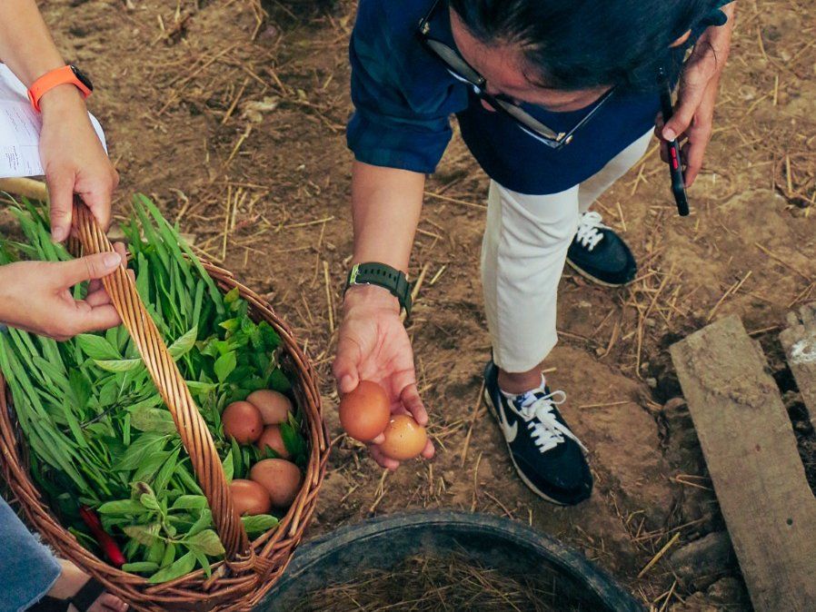 Half-day Organic Farm Cooking Experience in Chiang Mai