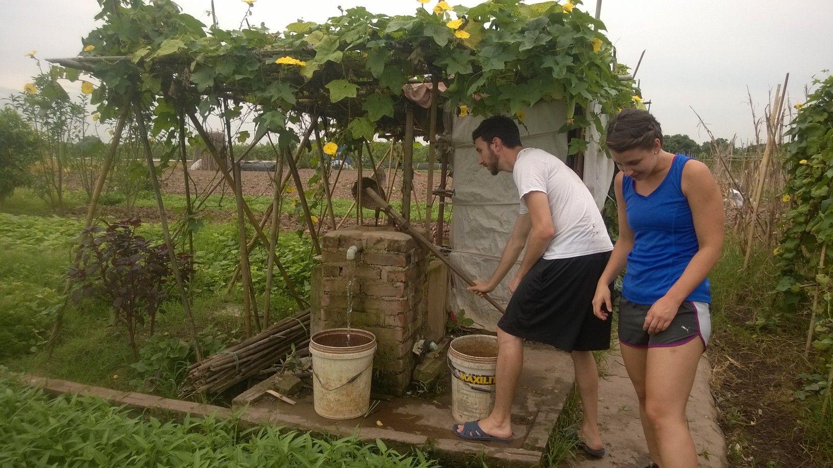Farm Tour and Private Home Cooking Class with Local Family