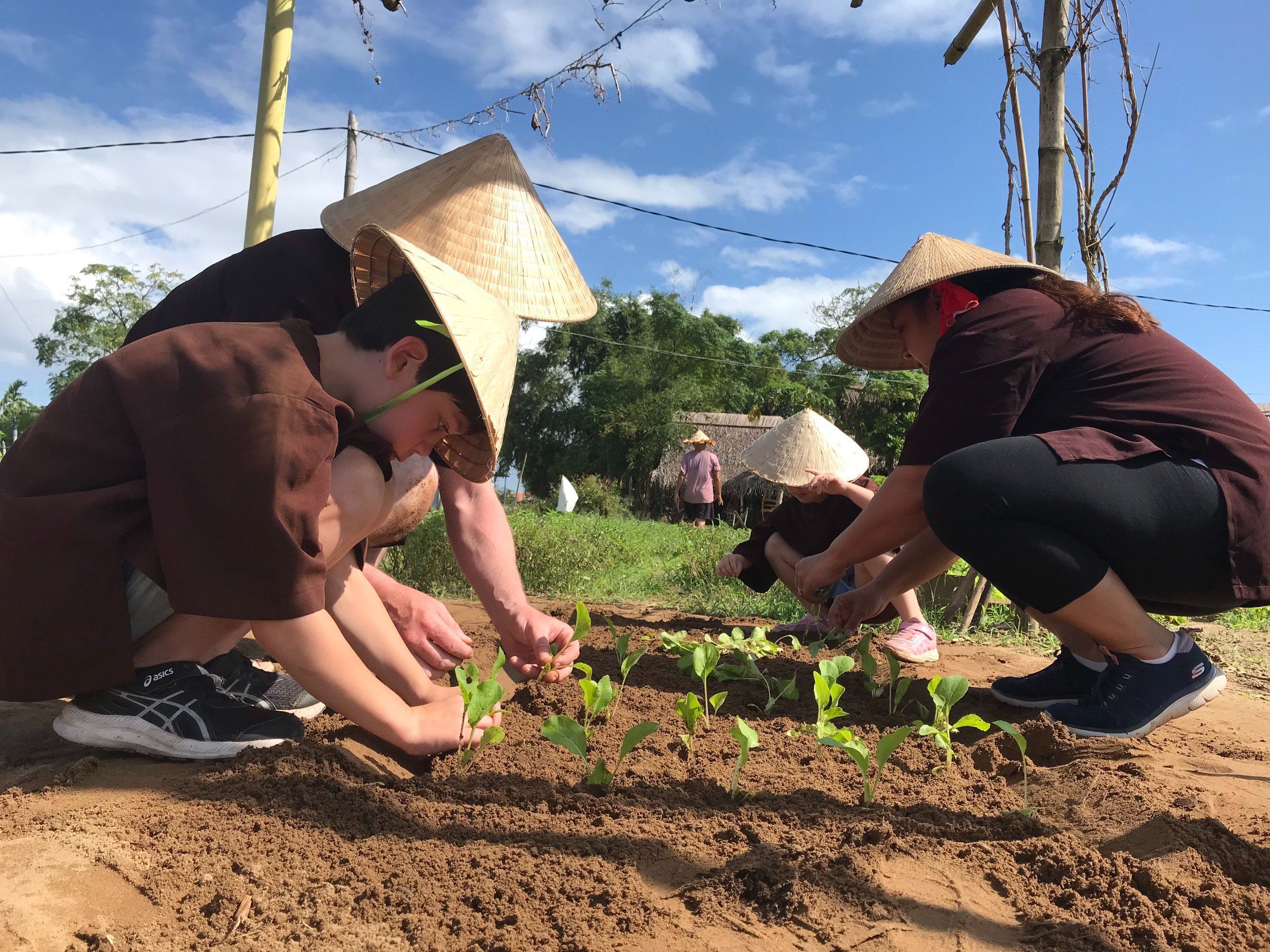 Farming and Cooking Experience in Tra Que Herb Village