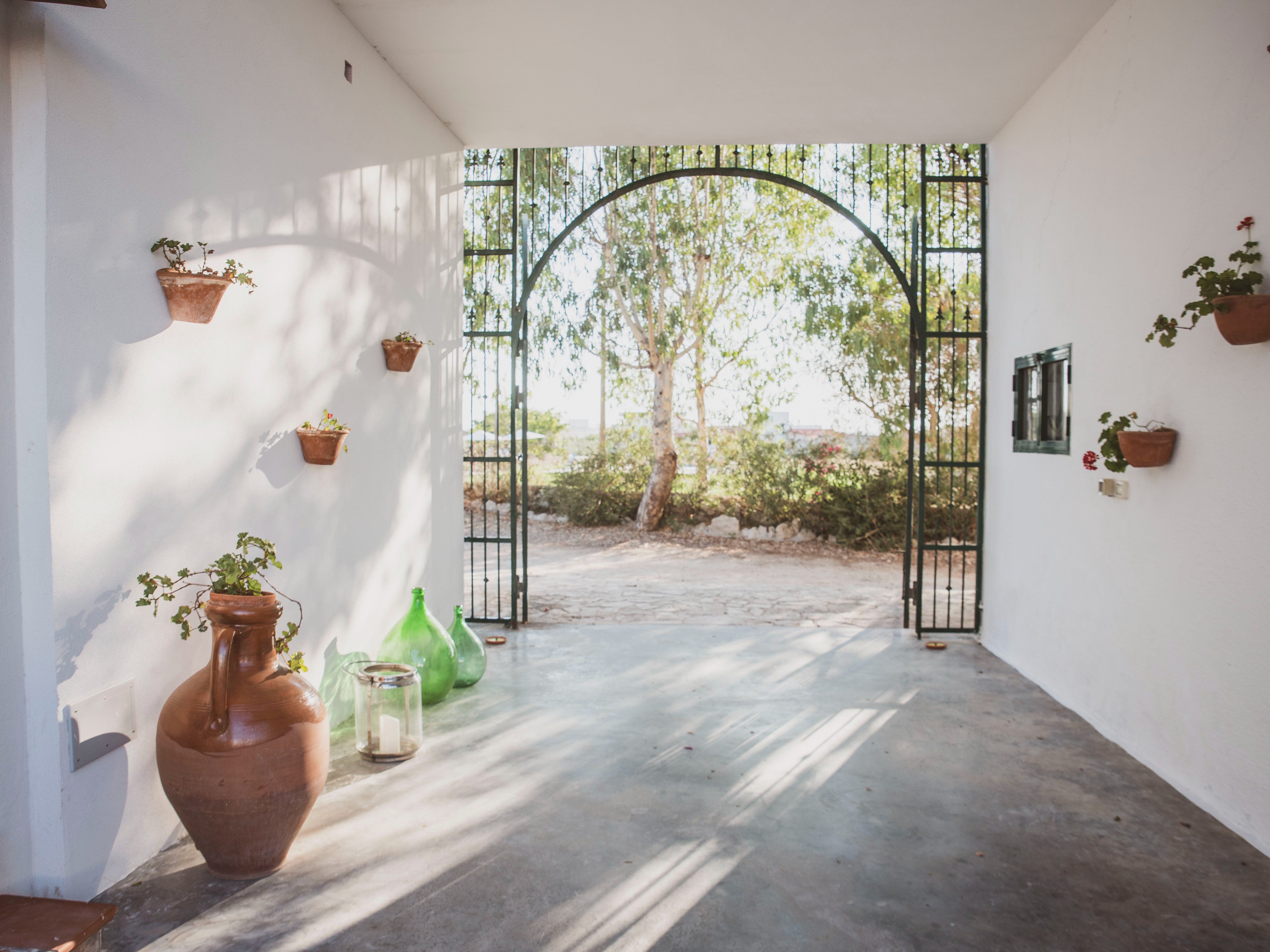 An Authentic Culinary Adventure with Local Cuisine and Wine Experience