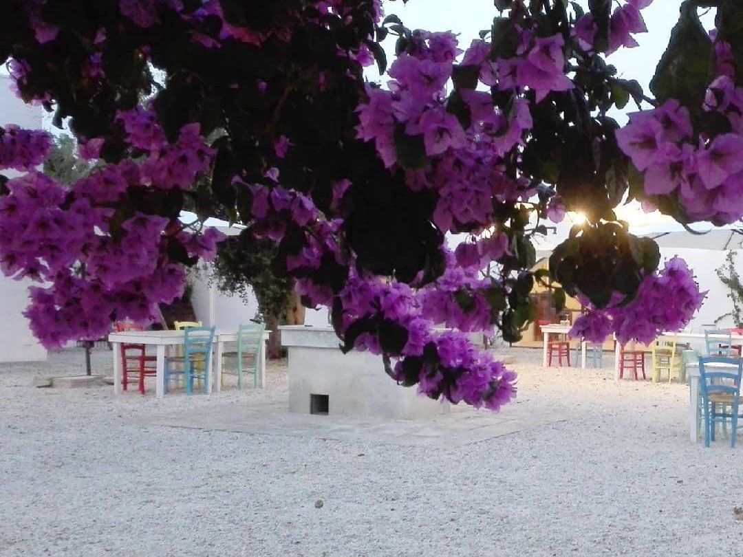 An Authentic Culinary Adventure with Local Cuisine and Wine Experience