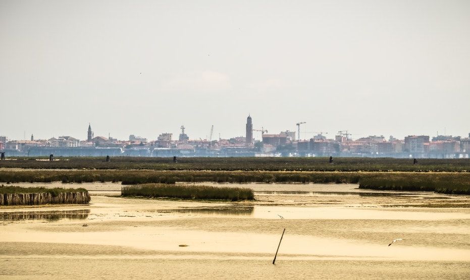 Promenade en bateau et visite gastronomique à Chioggia, près de Venise