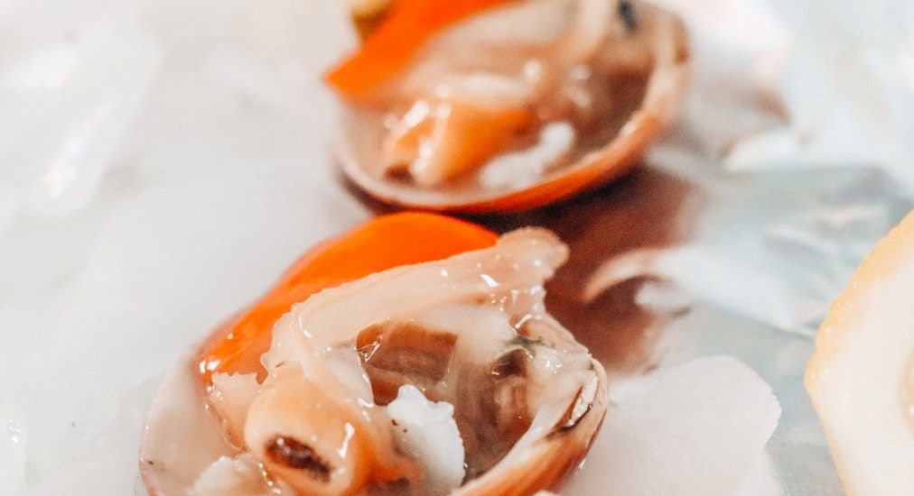 Promenade en bateau et visite gastronomique à Chioggia, près de Venise