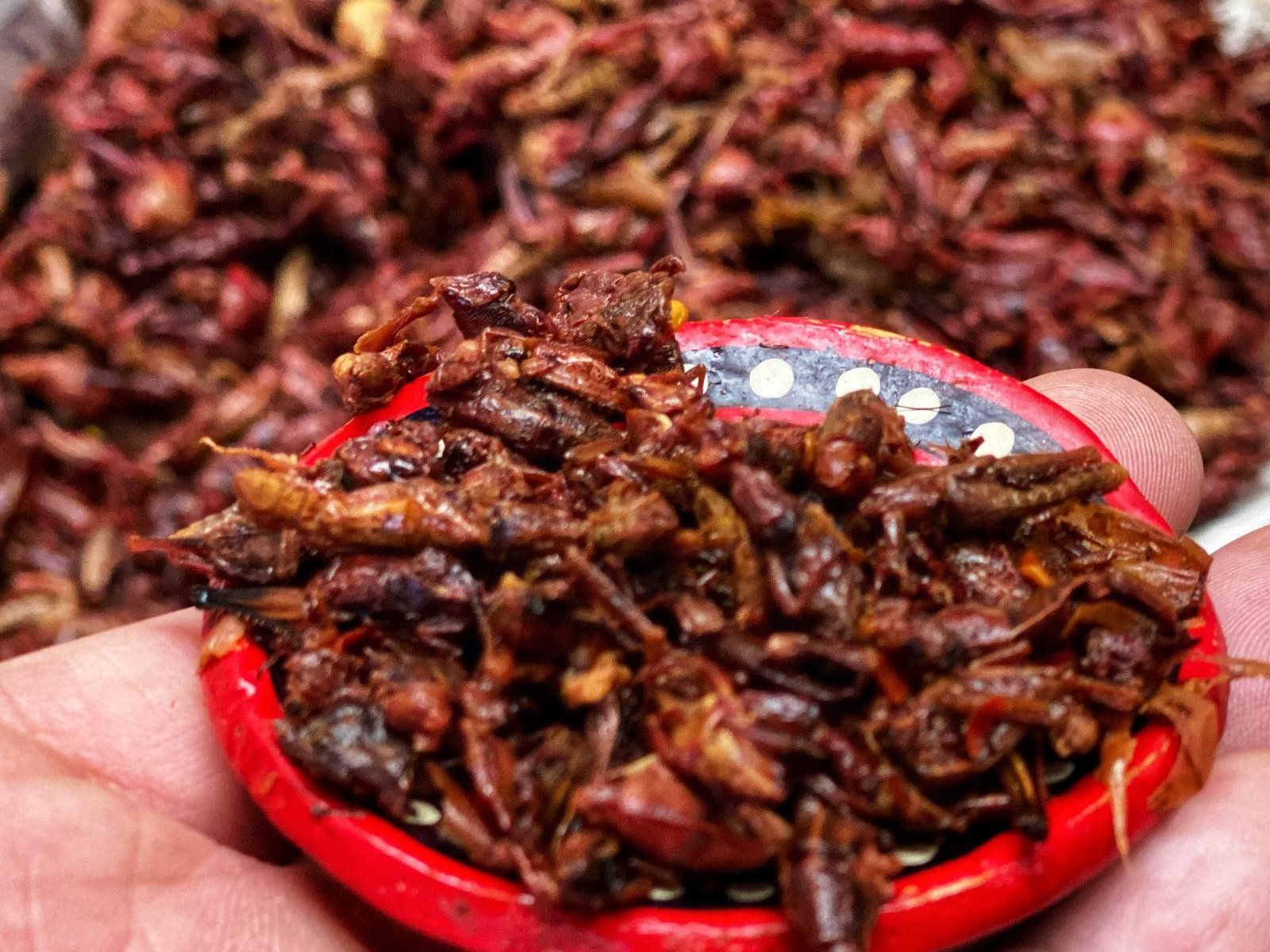 Foodie Tour in Oaxaca, Eat Like a Local.
