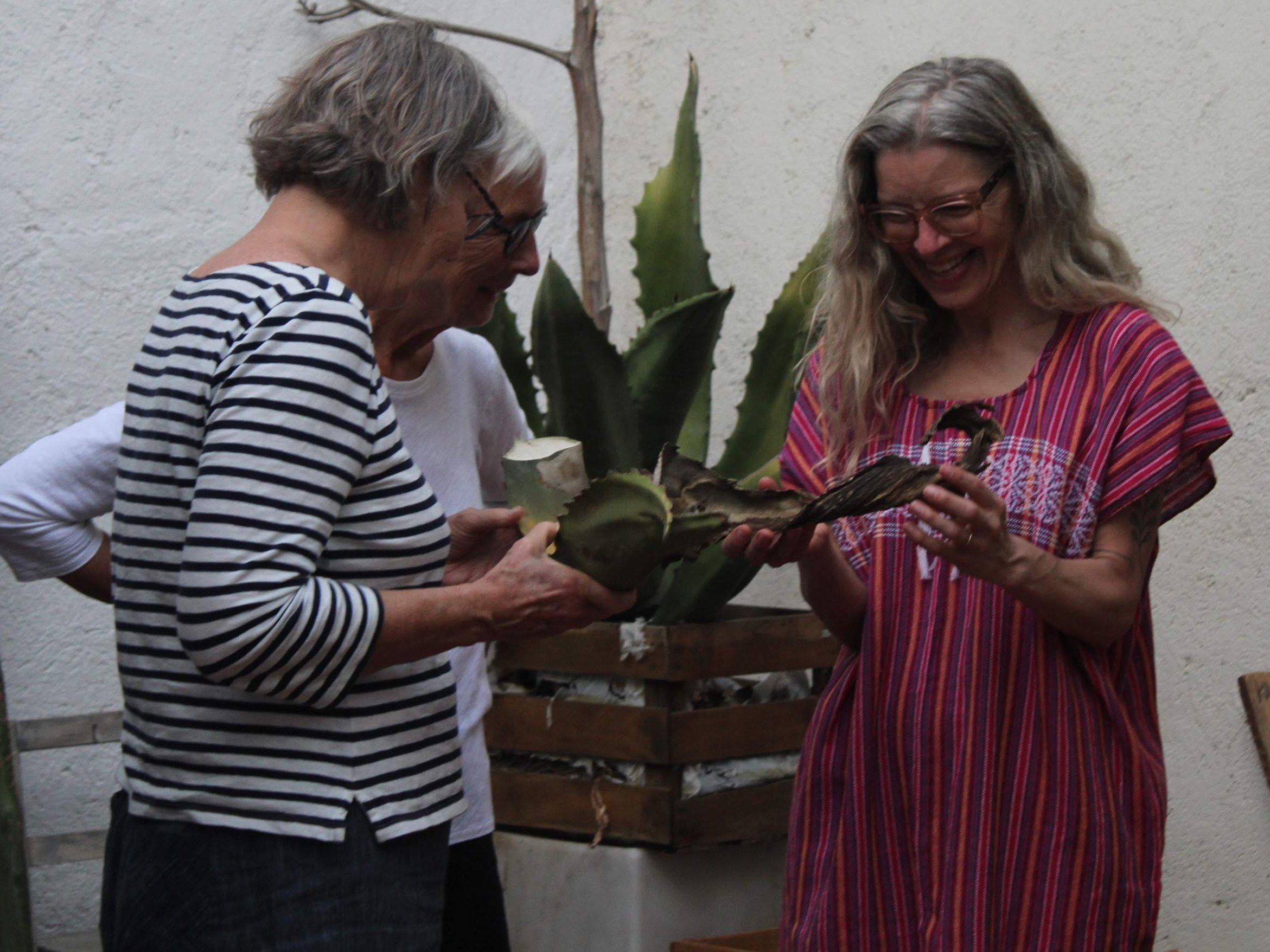 From Agave to Glass: Organic Mezcal Experience